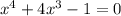 x^4+4x^3-1=0