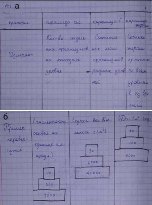 Сравните пирамиды численности биомассы и энергии в таблице . Приведите примеры перевернутые пирамиды