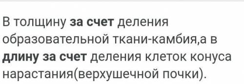 За счет чего стебель растет в длину? ​