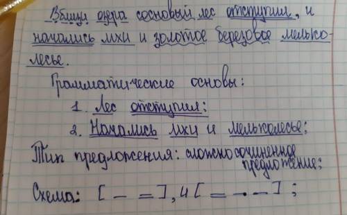 За Вблизи озера сосновый лес отступил, и начались мхи и золотое березовое мелколесье. Выполни синтак