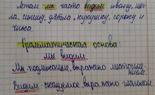 Подчеркни грамматическую основу. Летом мы часто видим иволгу, щегла, синицу, дятла, кукушку, сороку