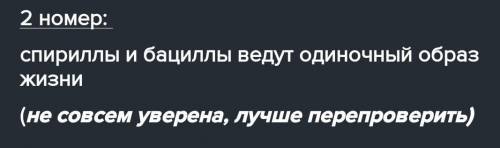 Есть спириллы,кокки,бациллы,вибрионы Трое можно объединить общими признаком. Выпишите название объек