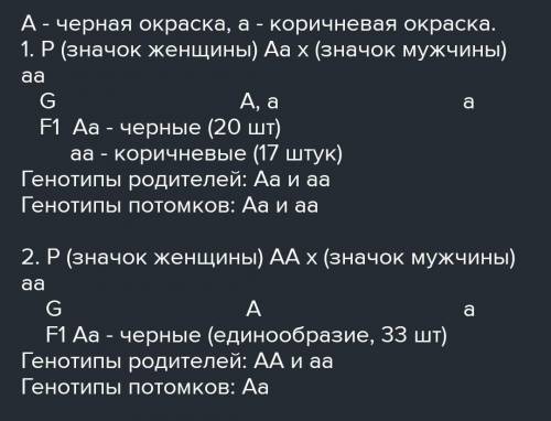 2 черные самки мыши скрещивались с коричневым самцом. Одна самка дала 20 черных и 17 коричневых а др