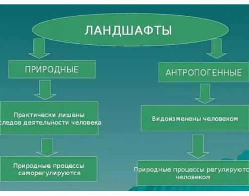 По каким признакам различаются между собой ландшафты?