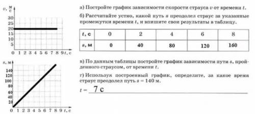 Страус в течение первых 8 с двигался со скоростью 20 метал в секунду постройте график зависимости ск