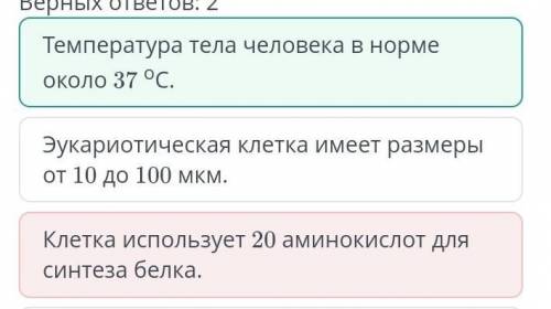 Среди предложенных вариантов выбери примеры гомеостаза. Верных ответов: 2Содержание сахара в крови в