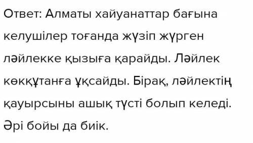 Их Алматы хайуанаттар бағына келушілер тоғандажүзіп жүрген (ләйлек) қызыға қарайды. (Ләйлек) көкқұта