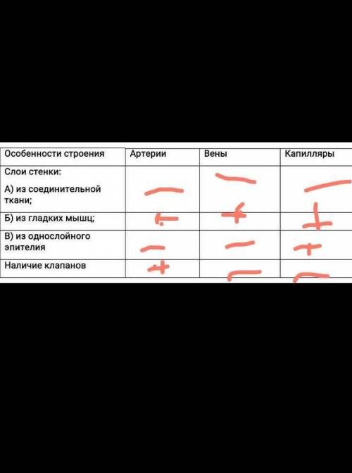 Отметьте плюсами в таблице соответствующие особенности строения кровеносных сосудов