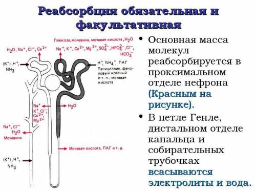 только правильно