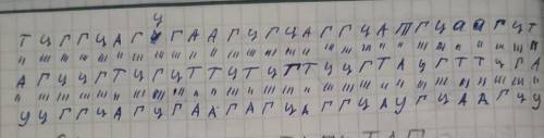 Какие особенности строения ДНК? • Какова основная функция ДНК в клетке? • Что такое ДНК? • Какова ос