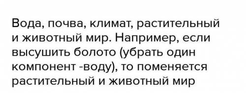 Назовите основные природные компоненты​