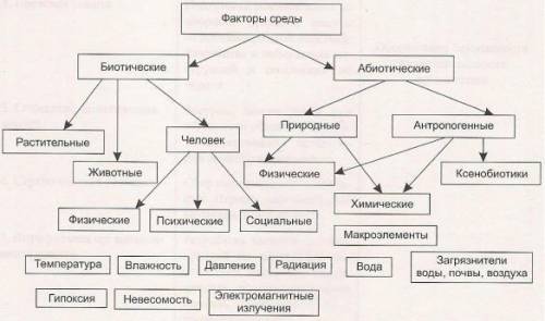 Схематично покажите влияние параметров природной среды друг на друга