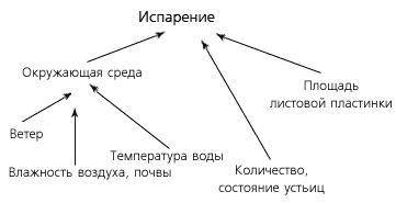 2. Нарисуйте опорую схему, которая отразить разные причины испарения воды листьями​