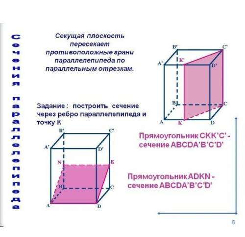 ￼￼геометрия 10 класс, вставьте слова заместо вопросительных знаков Объясни шаги конструкции сечения