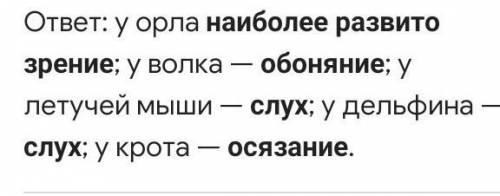 Какое чувтво у какого животного наиболее развито ? зрение, слух, обоняние, осязание​