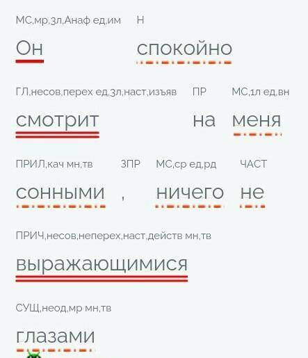 Он спокойно смотрит на меня сонными, ничего Синтаксический разбор предложения