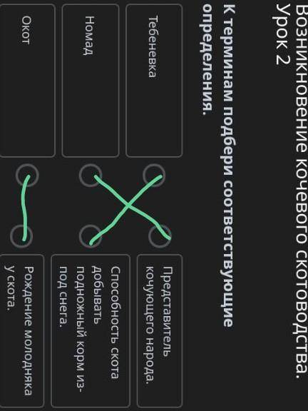 К терминам подбери соответствующие определения.