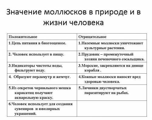 Составьте таблицу значение моллюсков в природе и в жизни человека​