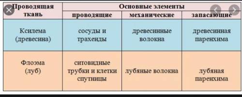 Заполните таблицу Характеристики проходящих веществ