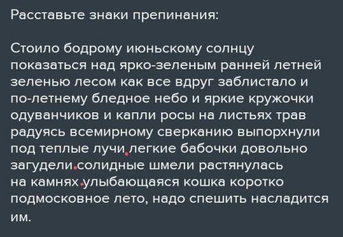 Расставьте знаки препинания: Стоило бодрому июньскому солнцу показаться над ярко-зеленым ранней летн