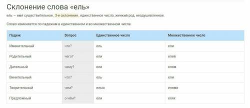Просклонения слова ель