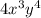 4x^3y^4