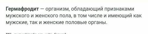 Гермафродитом является ахатина каракатица жемчужница наутилус