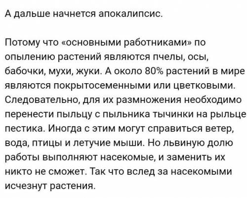 Что будет с миром, если исчезнут все насекомые?