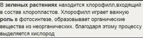 1. Перечисли необходимые условия, которые необходимы для протекания процесса фотосинтеза, в листьях