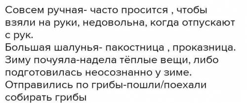 2. Объясни выражения. Совсем ручнаяБольшая шалуньяЗиму почуяла -Отправились по грибы —