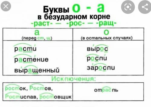 Вопрос Гласная в корне слова растение зависит от ... Введите ответ в произвольной форме: