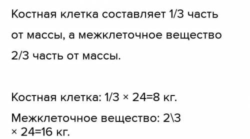 Если вес скелета чел. составляет 24 кг , то какое кол-во костных клеток и межклеточного вещества сод