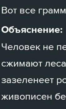 Подчеркните грамматическую основу в этом абзаце, в каждом предложенияя(Ну или просто напишите какое