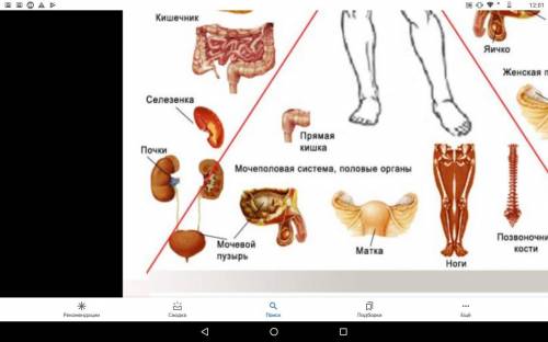 кто сможет сор по естествознанию