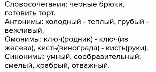 Составить 5 словосочетаний по теме синонимы,антонимы,омонимы