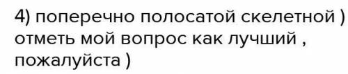 В чем отличия скелетной мышцы от поперечнополосатой мышцы?