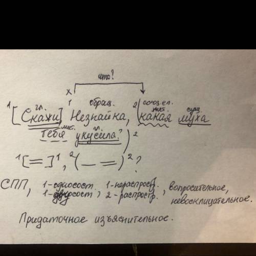 Скажи, Незнайка,какая муха тебя укусила? Пунктуационный разбор​