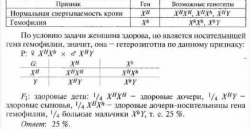 Какова вероятность рождения здоровых детей, если отец здоров, а мать – носительница гемофилии (рецес