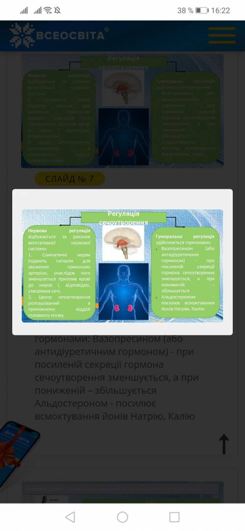 Конспект 8 клас виділення важливий етап обміну речовин нада​