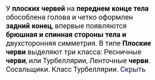 Где находиться брюшная и спинная сторона тела и передний задний конец плоских червей