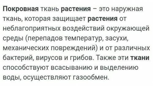 Что находится под покровной тканью?​