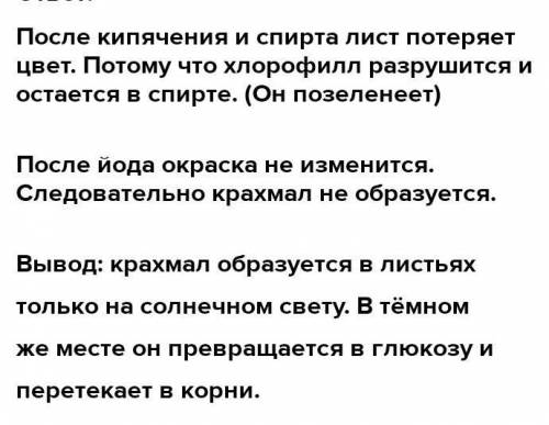 Опыт 21. На одном из листьев этого же растения за-крепите с двух сторон полоску плотной бумаги.2. По