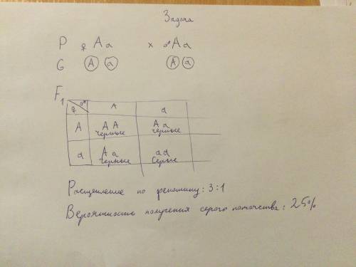 Составить и решить задачу на моногибридное скрещивание. 2 задчи