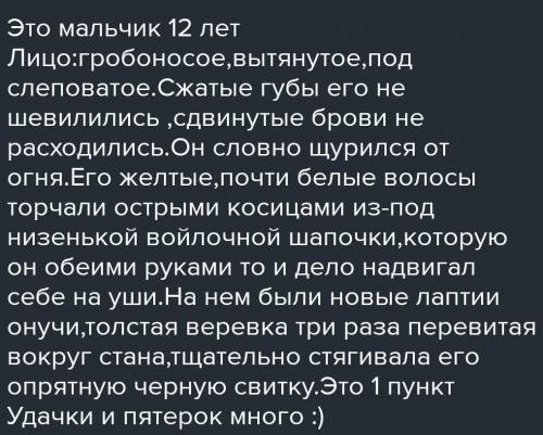 Бежин луг 1.Имя мальчика,возраст. 2.портрет.3.Его роль среди товарищей.Наверху все вопросы SOS SOS