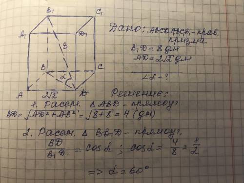 решить пошагово ,с рисунком диагональ правильной четырехугольной призмы 8 дм. Вычисли угол между диа