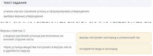 ТЕКСТ ЗАДАНИЯ ученик изучал строение устьиц и сформулировал утверждения. выбери верные утверждения В