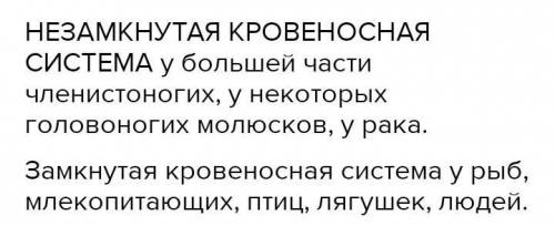 Сравните замкнутую и незамкнутую системы кровообращения у животных: - в чем их отличия?