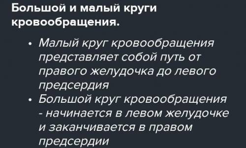 Большой круг и малый (легочный) круг Обозначьте на рисунке стрелками направление движения крови в бо