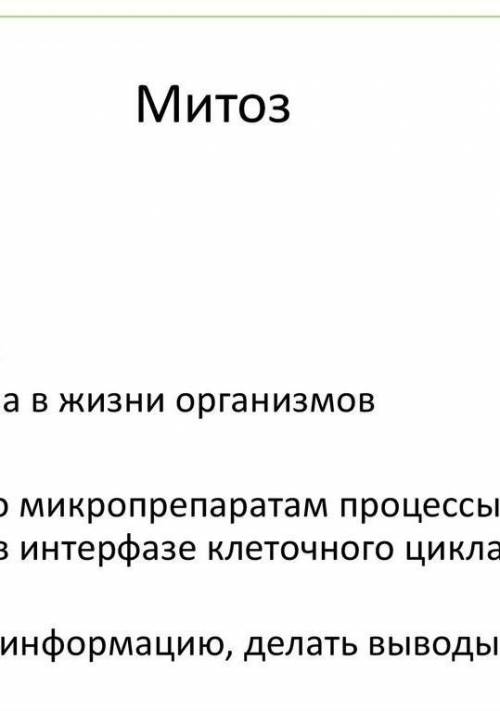 Лабораторная работа Определение уровня митотической активности в клетках корешка лука нарисовать и