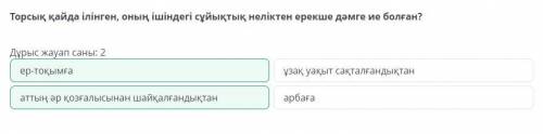 Сәндік-қолданбалы өнерде дәстүрлі емес және заманауи материалдарды қолданып бұйым жасау. 2-сабақ Тор